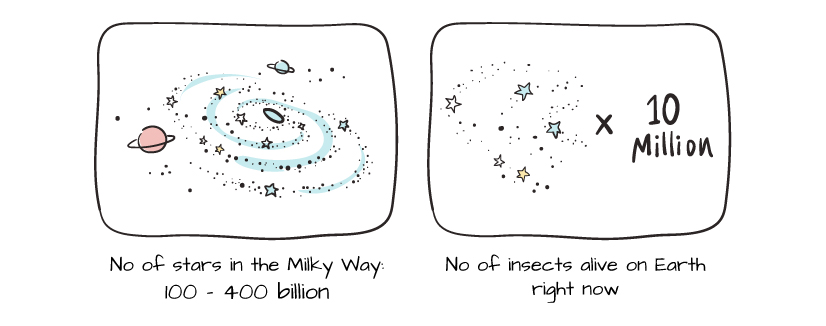 No. of stars in milky way vs no. of insects on earth