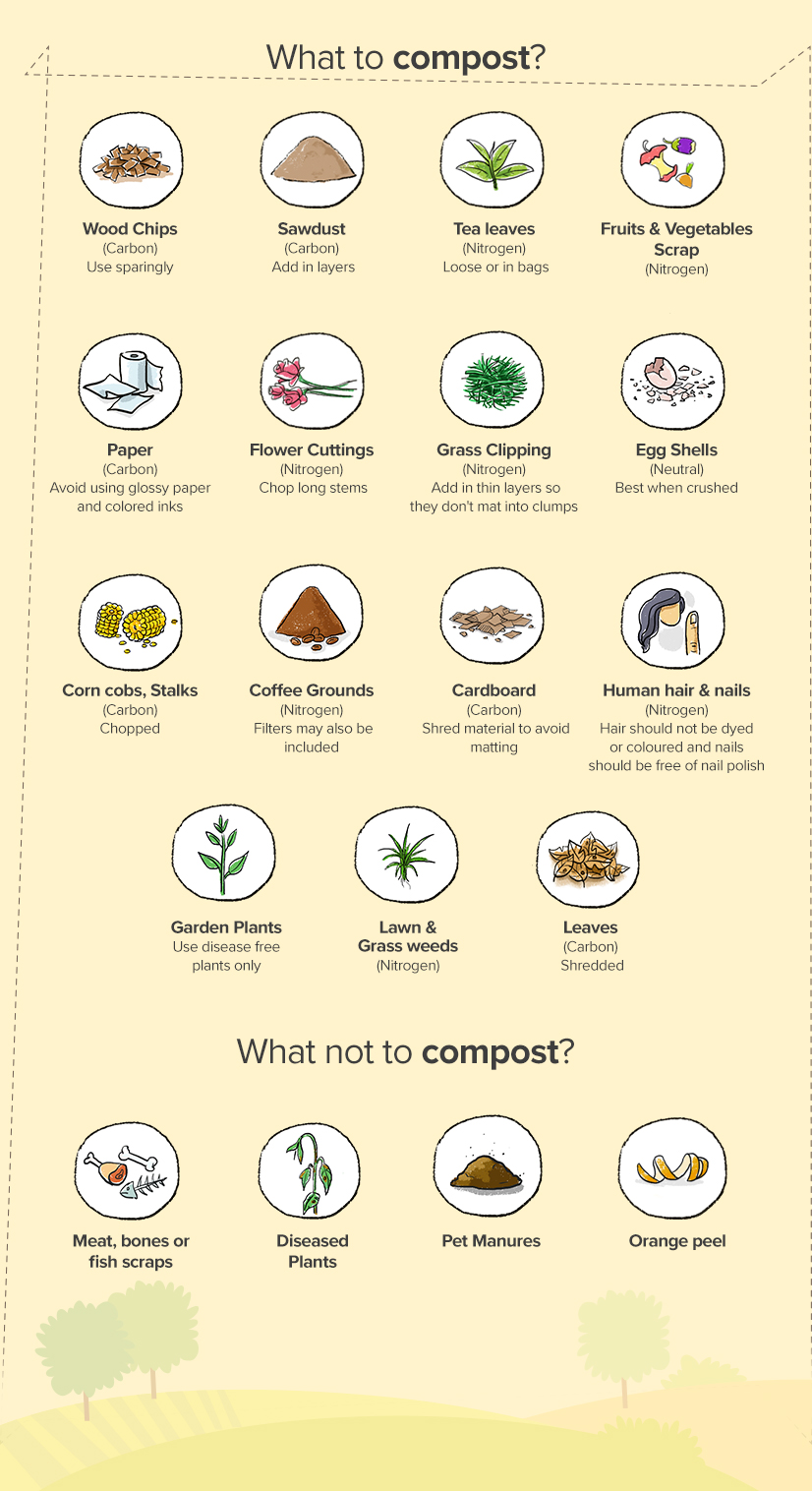 What to and what not to compost_Infographic