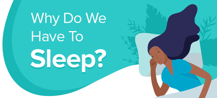 Interesting Facts about How We Sleep