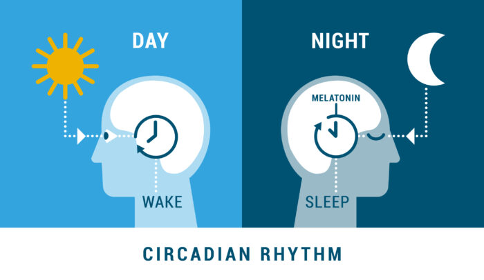 science facts: Why do we sleep and why do we need sleep