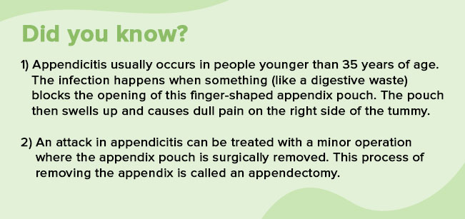 Appendix facts