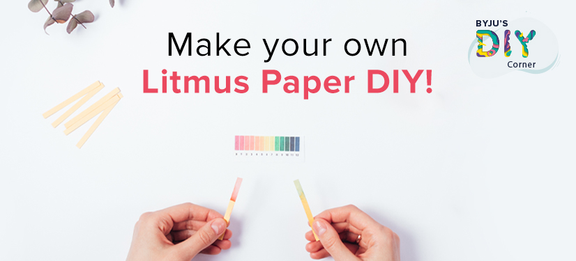 litmus paper at home