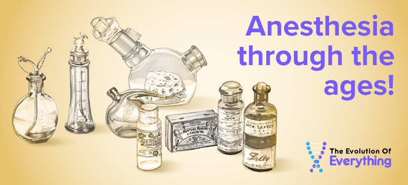 Learn all about the evolution of Anesthesia!