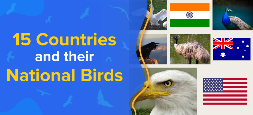 do-you-know-the-national-birds-of-these-countries