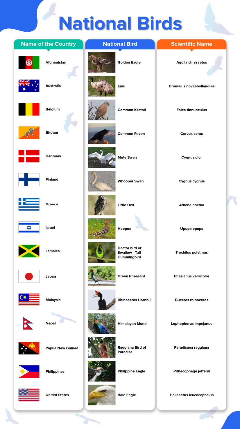 15 countries, flags and their national birds