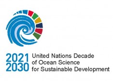 UN Ocean drive logo