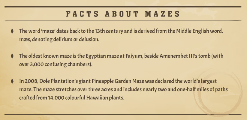 Facts about mazes