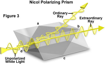 Nicole Prism