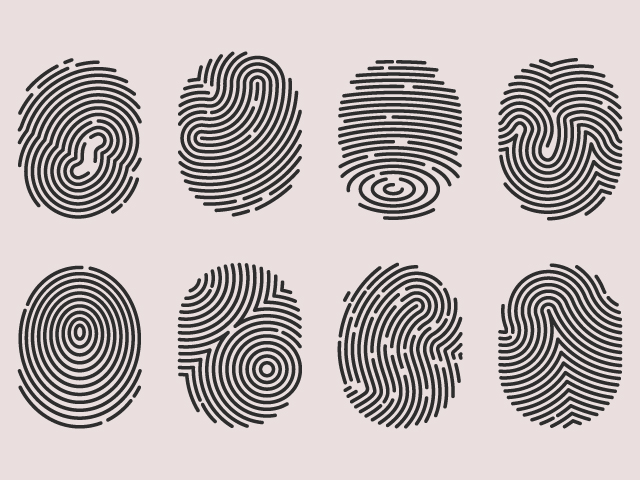 Whay are fingerprints unique? Why don\'t two people share the same