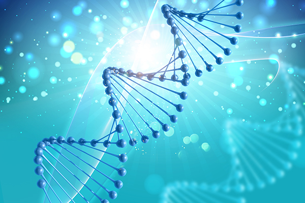 DNA is the basic building blocks of life