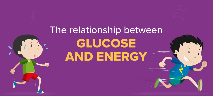 How Does Glucose Give You Energy 