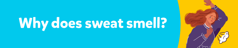 why do we sweat