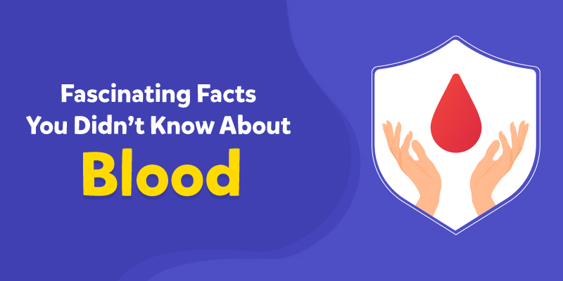 facts about blood