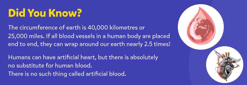 facts about blood