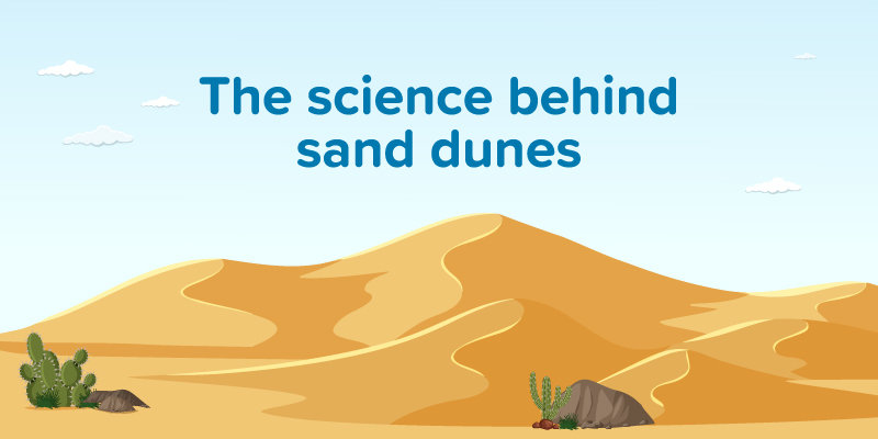 Image showing an illustrated sand dunes in the dessert with a cactus and some rocks in the foreground with the text: "the science behind sand dunes" 