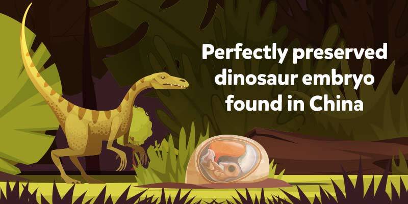 Image showing a dinosaur with an egg, where the embryo inside the egg is seen, with the text, "Perfectly preserved dinosaur embryo found in China"