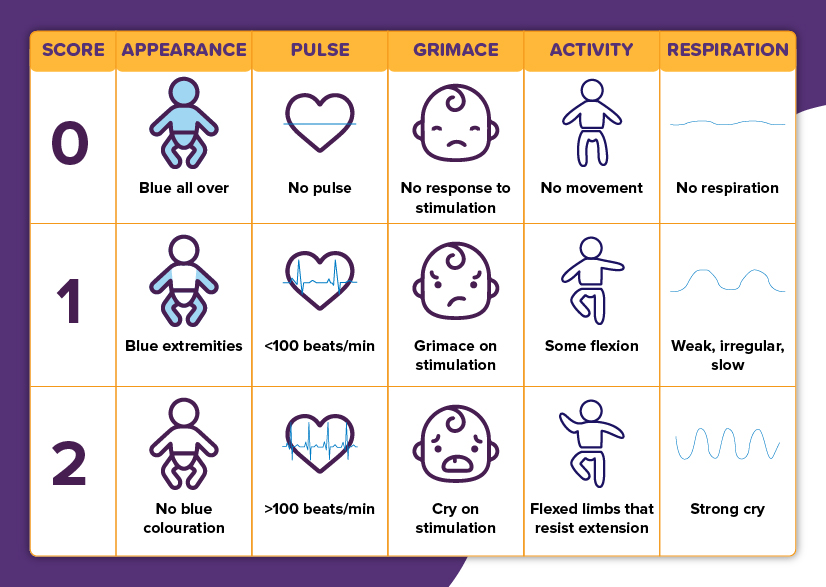 international day of women and girls in science, APGAR score, virginia apgar 