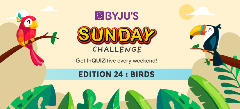 Sunday Challenge 24 Quiz on Birds 