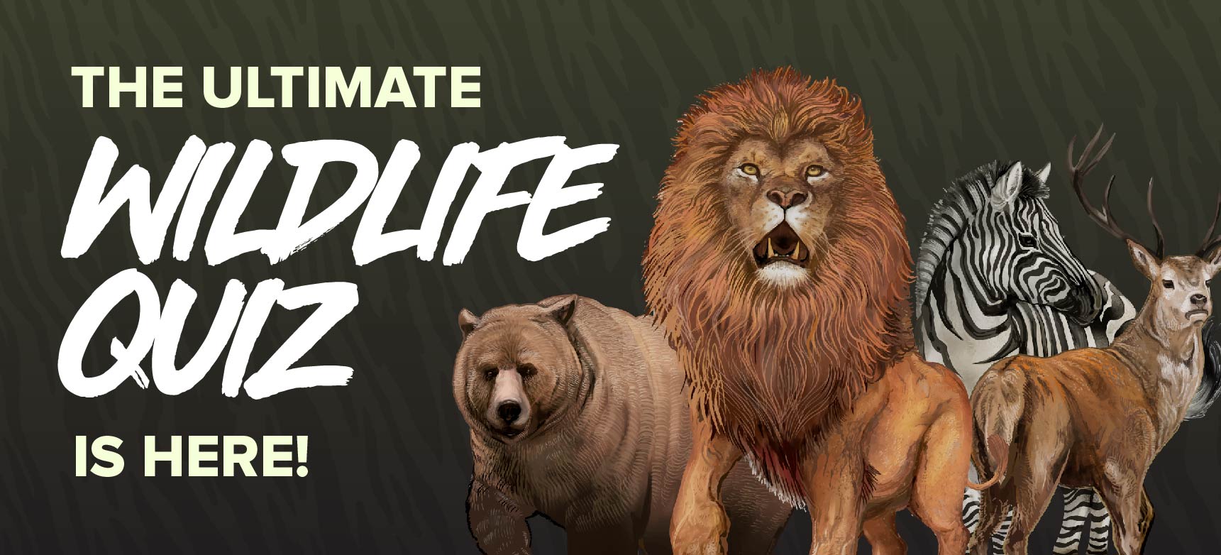 world-wildlife-day-here-s-the-ultimate-quiz-to-test-your-knowledge-of