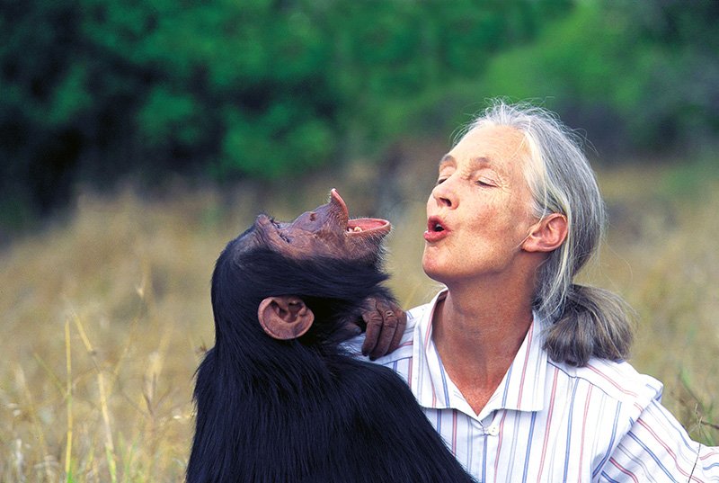 Jane Goodall facts