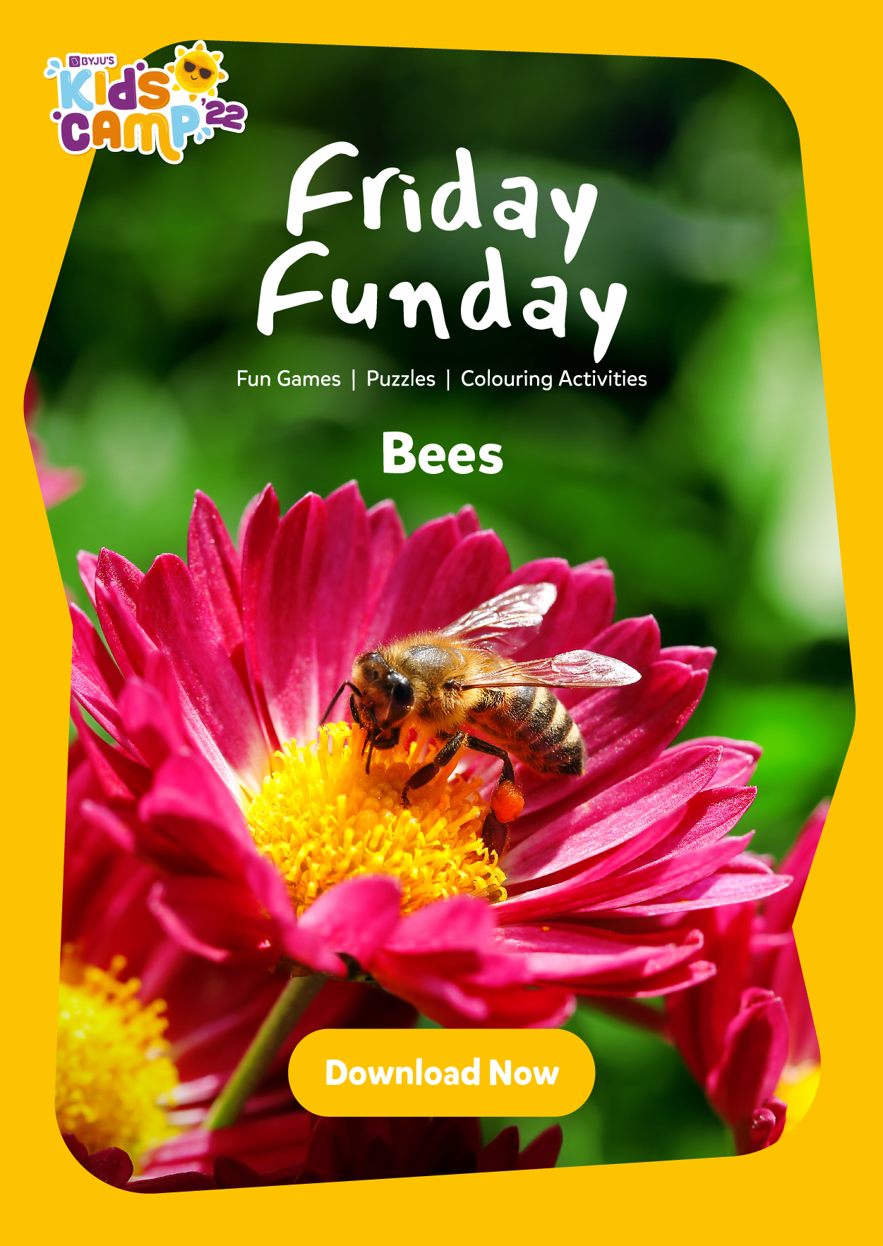 Bee-themed weekend activity pack for children