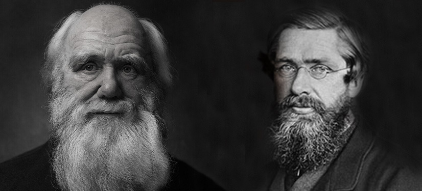 Charles Darwin, Alfred Wallace & The Theory of Evolution