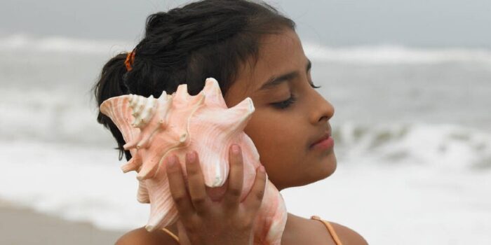 Why you hear the 2025 ocean in a seashell