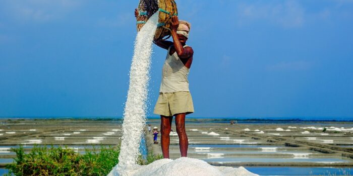 Salt Farming How Is Salt Made 4015