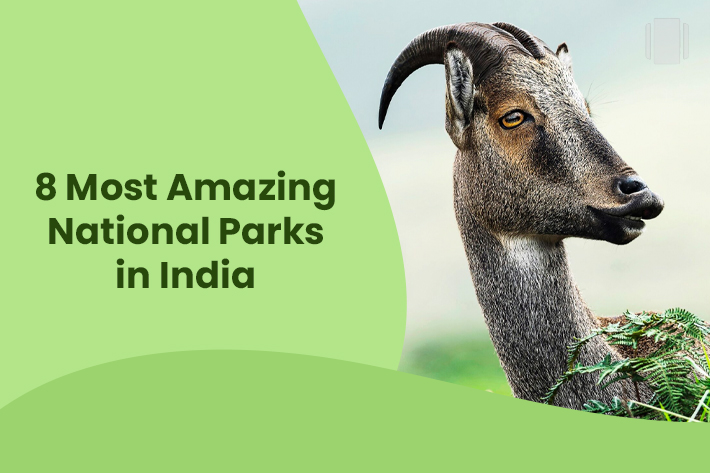 8 Most Amazing National Parks in India