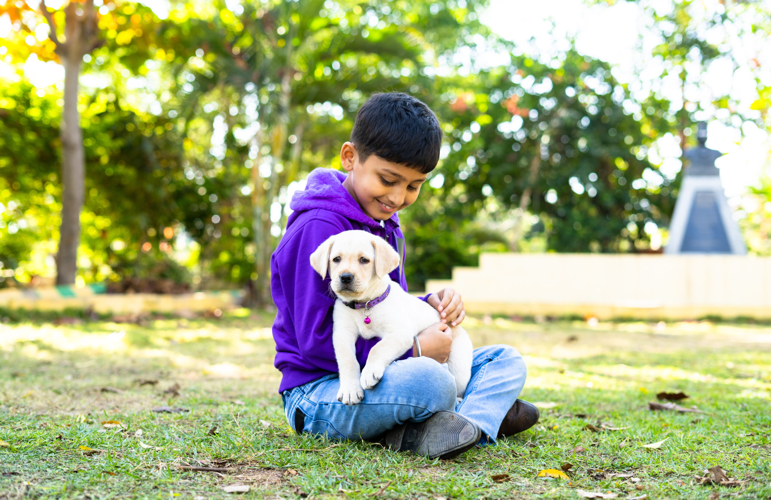 4 ways of taking care of domestic animals